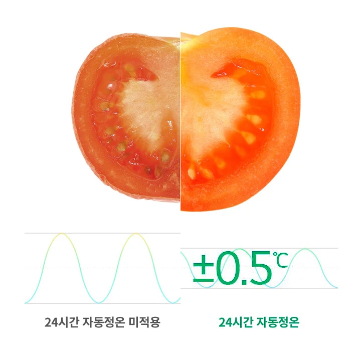 반으로 잘린 토마토가 있으며, 두 부분의 색상이 다르게 보입니다. 아래에는 두 개의 그래프가 나란히 있으며, 왼쪽 그래프 아래에는 24시간 자동정온 미적용이라는 텍스트가, 오른쪽 그래프 아래에는 +0.5℃ 24시간 자동정온이라는 텍스트가 있습니다. 이는 온도 조절의 차이를 나타내는 것으로 보입니다.