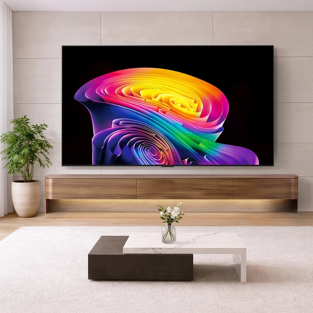 LG전자 oled65c6sna-wall LG 올레드 evo AI (벽걸이형) 제품 이미지